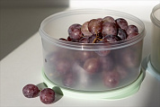 Контейнер Freshpak 1,6 л, чайное дерево BEROSSI ИК 97662000