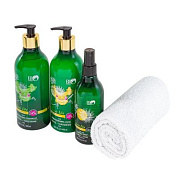 Набор косметики, маска-укрепление 490 мл, шампунь ИМБИРЬ + КРАСНЫЙ ЖЕНЬШЕНЬ 490 мл, Спрей-уход для волос ''БЕСЦВЕТНАЯ ХНА, ИМБИРЬ'' 245 мл, полотенце Bio World BW-9