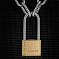 Замок навесной латунный с удлиненой дужкой 50 мм ForceKraft FK-LTY50