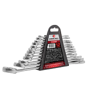 Набор комбинированных ключей 12 пр 6-14, 17, 19, 22 мм EVERFORCE EF-5123MP