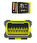 Набор бит 1/4'' PH, PZ, Torx RAK10MSDI 10 шт. RYOBI 5132003176