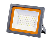 Прожектор светодиодный 50 Вт PFL-SC 6500К IP65 200-240В JAZZWAY 5001435