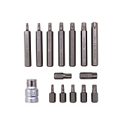 Набор бит Torx Т20-Т55 с битодержателем 15 пр. 30/75 мм 10 мм Forsage F-4156C