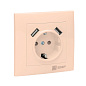 Валенсия розетка 1-местная с/з 16А кремовая с защ, штор, с 2 USB 2,1А EKF PROxima EWR16-028-20-2USB