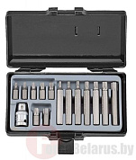 Набор бит TorxT20-T55 15 пр. 10 мм Force 4156