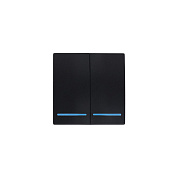 Выключатель беспроводной, с реле, 2 клавиши, черный, AKS 124643