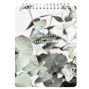 Блокнот "Botanica эвкалипт", А5, 80 листов, в клетку, разноцветный