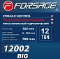 Пресс гидравлический с манометром напольный 12 т, Forsage F-12002 BIG(из 2-х частей)