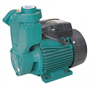 Поверхностный центробежный насос 1WZB-45 AQUOR 1WZB-45(AQ)