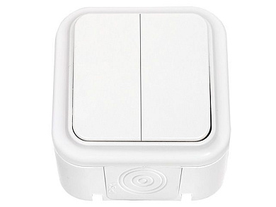 Выключатель 2 клав. (открытый, 10А, брызг. защ.) белый, Пралеска Аква, (IP54 пылебрызгозащищенные) Bylectrica А(6+6) 10-873