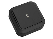 Выключатель 1 клав., открытый, 6А, проходной черный, Пралеска, Bylectrica А610-147чер