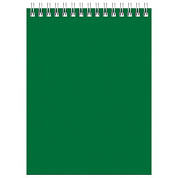 Блокнот "Для конференций", А6, 60 листов, клетка, зеленый