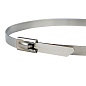 Хомут AISI 304 из нержавеющей стали, 4,6x260 (100 шт,) FlexLock PROxima plc-fl-tss-304-4.6x260