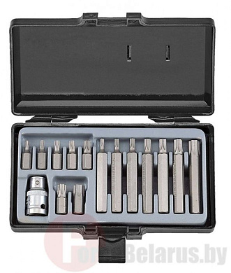 Набор бит TorxT20-T55 15 пр. 10 мм Force 4156