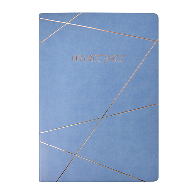 Блокнот "20D076", А4, 96 листов, голубой