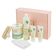 Набор Алоэ и зеленый чай, гель для душа, крем бальзам для рук, гель-скраб для тела, крем для ног, крем для тела, щетка массажная, мочалка-рукавица La and Te beaute LT-4 GR