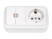 Блок выкл. 2 клав. + розетка (открытая, с/з) со световой индикацией, белая, Пралеска, Bylectrica 2В-РЦ-569