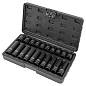 Набор ударных коротких и глубоких головок 10-19 мм 1/2'' 6-гр 20 пр Forsage F-4201-BV30