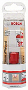 Фреза шарнирная Expert S8/D19/L12.5 мм BOSCH (2608629367)