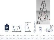 Лестница алюм. 2-х секц. 300/553см 2х12 ступ., 10,2кг Pro Startul ST9947-12