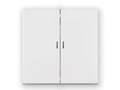 Выключатель 2 клав., cкрытый, узел, 10А со световой индикацией белый, Carre, Bylectrica С5 10-3608