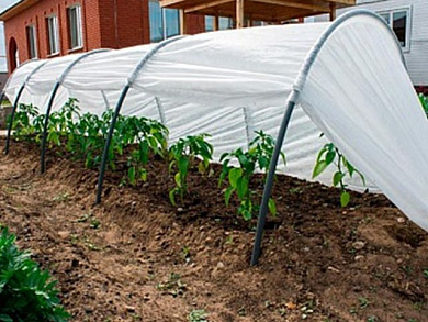 Парник "Бабушкин парничок", длина: 6 м, ширина: 50 см, высота: 70 см ОСТРОВ КОМФОРТА 4814692000417