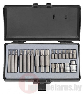 Набор бит Ribe M4-M14 22 пр. 10 мм Force 4225