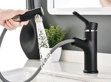 Смеситель для умывальника с вытягивающейся и 2-х режимной лейкой, латунь, черный L1055B-25 Ledeme