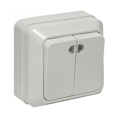 Рим Выключатель 2-клавишный с индикатором 10А белый EKF ENV10-123-10