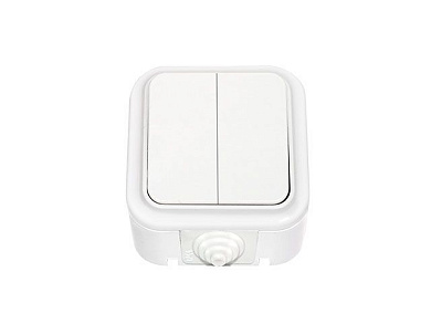 Выключатель 2 клав. (открытый, 6А, брызг. защ.) белый, Пралеска Аква, (IP54 пылебрызгозащищенные) Bylectrica А56-224