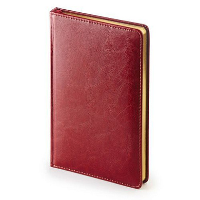 Ежедневник недатированный "Sidney Nebraska", A4, 272 страницы, бордовый