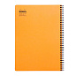 Блокнот "Rhodia", А4+, 80 листов, клетка, оранжевый