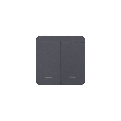 Выключатель беспроводной, с реле, 2 клавиши, графит, AKS 124646