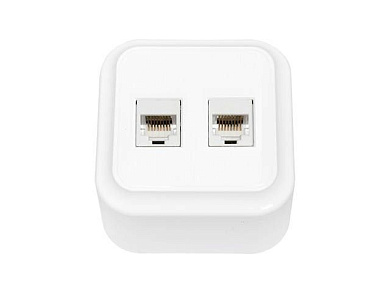 Розетка 2-ая компьютерная, открытая, белая, Пралеска, Bylectrica РК216-005