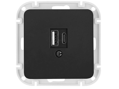 Розетка с двумя USB-разъемами, узел, скрытая карбон, Astrum Bylectrica РП5-6561карб