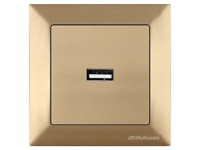 Розетка 1-ая USB, скрытая, золото, DARIA, Mutlusan 21204480180