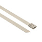 Хомут AISI 304 из нержавеющей стали, 7,9x260 (100 шт,) FlexLock PROxima plc-fl-tss-304-7.9x260