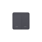 Выключатель беспроводной, с реле, 2 клавиши, графит, AKS 124646