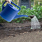 Лейка садовая, 10 л, пластмассовая Россия 67520