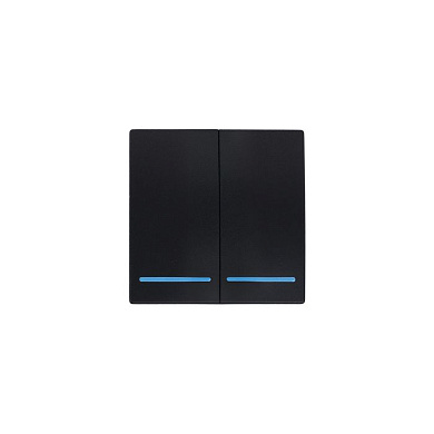 Выключатель беспроводной, с реле, 2 клавиши, черный, AKS 124643