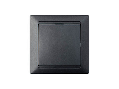 Выключатель 1 клав. с самовозвратом, скрытый, 10А, графит, Стиль, Bylectrica С1 10-896гр