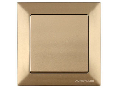 Выключатель 1-клав. двухполюсный, скрытый, пруж. зажим, золото, DARIA, 10 A, 250 V, IP 20, Mutlusan 21204050180