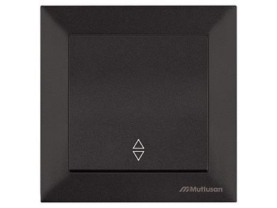 Выключатель проходной 1-клав., скрытый, пруж. зажим черная, DARIA, Mutlusan 2120 403 0184