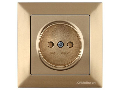 Розетка 1-ая, скрытая, б/з, шторки, золото, DARIA, 16 A, 250 V, IP 20, Mutlusan 21206060280