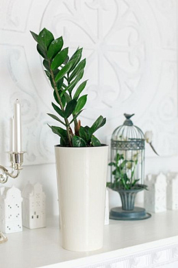 Кашпо для цветов со вставкой КАМЕЛИЯ, h=260, d=140, вставка 130мм, белый Гарденпласт 63000