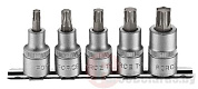 Набор головок-бит TorxT40-T60 5 пр. 1/2'' Force 4051