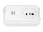 Блок выкл. 2 клав. + розетка (открытая, б/з) со световой индикацией,белая, Пралеска, Bylectrica 2В-РЦ-565