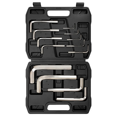 Набор Г-образных ключей HEX 2-19 мм 13 пр ForceKraft FK-5137C