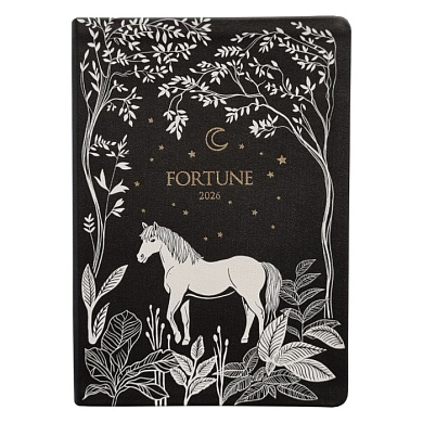 Ежедневник датированный "Fortune" на 2026 год, А5, черный