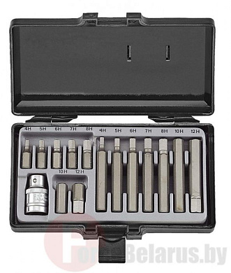 Набор бит HEX 4-12 мм 15 пр. 10 мм Force 4155